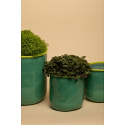 Stor urtepotte - Mint &amp; chartreuse